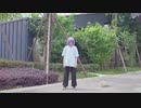 【ないん】phony/フォニイ-ツミキ　踊ってみた