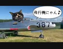 2021/06/22放送【81日目 北海道 美幌 あずにゃんぽ（猫散歩）】北海道全市町村制覇するまで帰れまてん！　猫と車中泊の旅　日本縦断【旅猫あずき～保護猫から旅猫へ～】