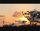 無条件の波動４０９　～愛の波動を感じて～