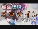 【VOICEROID解説】琴葉姉妹のプロテイン講座