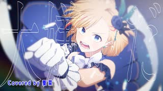 【歌ってみた】誇り高きアイドル／HoneyWorks（Covered by 聖菜）【mona】