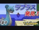 【Minecraft】厨ポケみたいなのばっか捕まえてる Part9【Pokehaan実況プレイ】