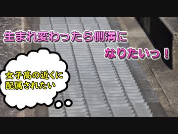 生まれ変わったら側溝になりたいっ！
