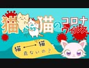 【猫ゆっくり解説】飼い主必見！知らないと怖い？猫コロナウイルスからなる「FIP」について！