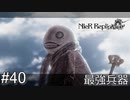 【ニーア・レプリカント】絶望か希望か..妹想いの少年の物語。Part.40【女性実況】