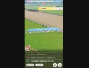 【ウマ娘】ルームマッチ　ミホノブルボン限定　量産型杯
