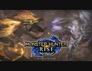 【初見ソロ】本当の最終決戦(百竜ノ淵源)【モンスターハンターライズ】