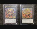 【No.54-2】ダストン vs Sin【遊戯王LOTD】