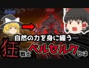 【ゆっくり解説】狂戦士ベルセルクはどのようにして誕生したのか【北欧神話】