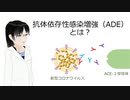 ウイルスに感染しやすくなる抗体依存性感染増強（ADE）とは何？