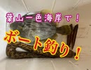 【葉山】ボートコマセ釣りで五目釣り！【山田ボート】