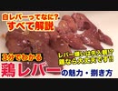 プロが教える!!鶏レバーの魅力と捌き方