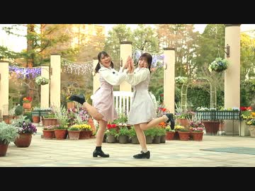 【わに×ねこわかめ】シス×ラブ【踊ってみた】