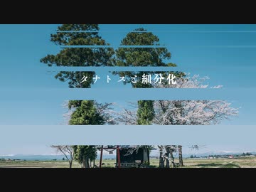 【第13回東方ニコ童祭】タナトスと細分化【明日ハレの日、ケの昨日】