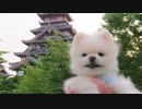 風に聞け２１０６２２　Emergency On Level 3 - Jeremy Korpas