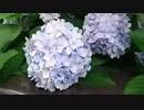 五輪会場で酒について/らじこ　おしゃべり  NATIVE