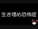 【ゆっくり朗読】ゆっくりさんと不思議な病気 その372