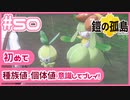 【ポケモン剣盾/DLC1鎧の孤島】ポケモン好きが、初めて種族値・個体値を意識し冒険！【実況】#50