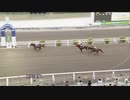 ＤＳ２０２１ＪＢＣ協会協賛 黒潮ダービー 第49回高知優駿（エスポワールシチー賞）［地方全国交流］ ハルノインパクト