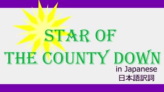 【日本語で歌おう】Star of the County Down【ダウン州の輝ける星】