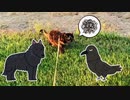 2021/06/23放送【82日目 北海道 網走郡大空町 あずにゃんぽ（猫散歩）＋のんびり夕焼け映像】北海道全市町村制覇するまで帰れまてん！　猫と車中泊の旅　日本縦断【旅猫あずき～保護猫から旅猫へ～】