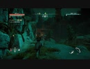 Horizon Zero Dawn™_ Complete Edition　マックン＆パックン　28
