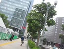 2021/6/24(木) 反日カルト、集団ストーカー組織共謀犯罪周知 札幌ゲリラ街宣ー②