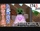 《Minecraft》頭をモイだり豚に襲われたり、道を作ったり・・・声が出なかった174.5話目《てきとうサバイバル》