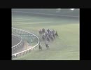 1992年 第27回有馬記念をウマ娘のBGMで盛り上げたい メジロパーマー、ダイタクヘリオスと大逃げ
