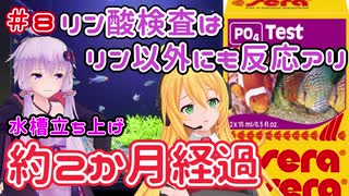 【ボイロアクアリウム】#8 水道水の水質測定とリン酸試薬問題【水槽記録】