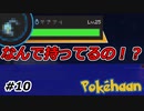 【Minecraft】その辺のトレーナーが持ってたらアカンやろ Part10【Pokehaan実況プレイ】