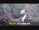 韓国の子供ら...竹島で旭日旗を粉々にするパーフォーマンス
