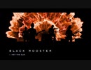 BLACK ROOSTER - NEW FRENCH ROCK BAND - 新しいフランスのロックバンド