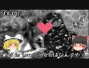 SCPを自分なりに説明してみる031【愛とは何ぞや？】