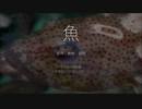 映画『Dominion《ドミニオン》』日本語吹替版　#7　魚