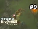 【ゼルダの伝説ブレスオブザワイルド】フライングシューート！【実況プレイ】#9