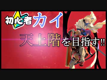 【初心者】カイ使いが天上階を目指したい 4勤