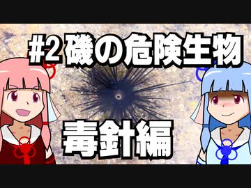 【琴葉姉妹の磯遊び】#2磯の危険生物　毒針編【VOICEROID解説】
