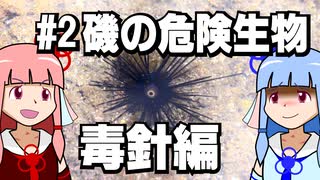 【琴葉姉妹の磯遊び】#2磯の危険生物　毒針編【VOICEROID解説】