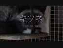 映画『Dominion《ドミニオン》』日本語吹替版　#8　ウサギ・ミンク・キツネ