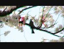情炎