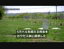 カナダで墓標のない墓751基を発見、先住民向けの寄宿学校跡地から
