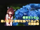 毒草きりたん