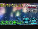 【広大な空と大地を冒険】ゼノブレイド・DE【初見実況】Part20