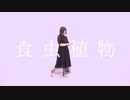 【歌って】食虫植物 / 理芽 (covered by 江沼鵺)【踊ってみた】