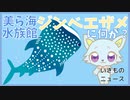 【生き物ニュース】沖縄の巨大ジンベエザメになにが？「美ら海水族館13年飼育　メスのジンベエザメ死」