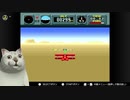 パイロットライセンスを取得しに来たMUR猫