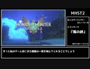 【モンスターハンターストーリーズ２】風の絆　