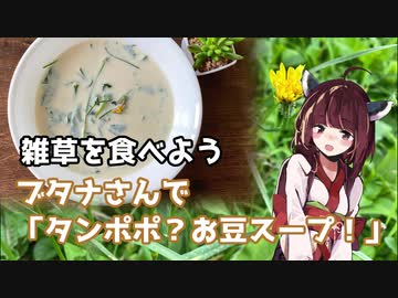【思い切って野草を食べてみよう】#22 ブタナさんで「タンポポ？お豆スープ」