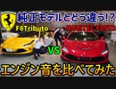 【爆音】 フェラーリ F8トリブートとノビテックF8 ST2フルコンプリートカーを隣に並べてエンジン音を比べてみたら凄かった！